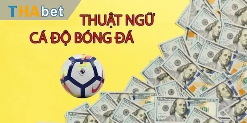 Lý do cần nắm rõ thuật ngữ cá cược bóng đá